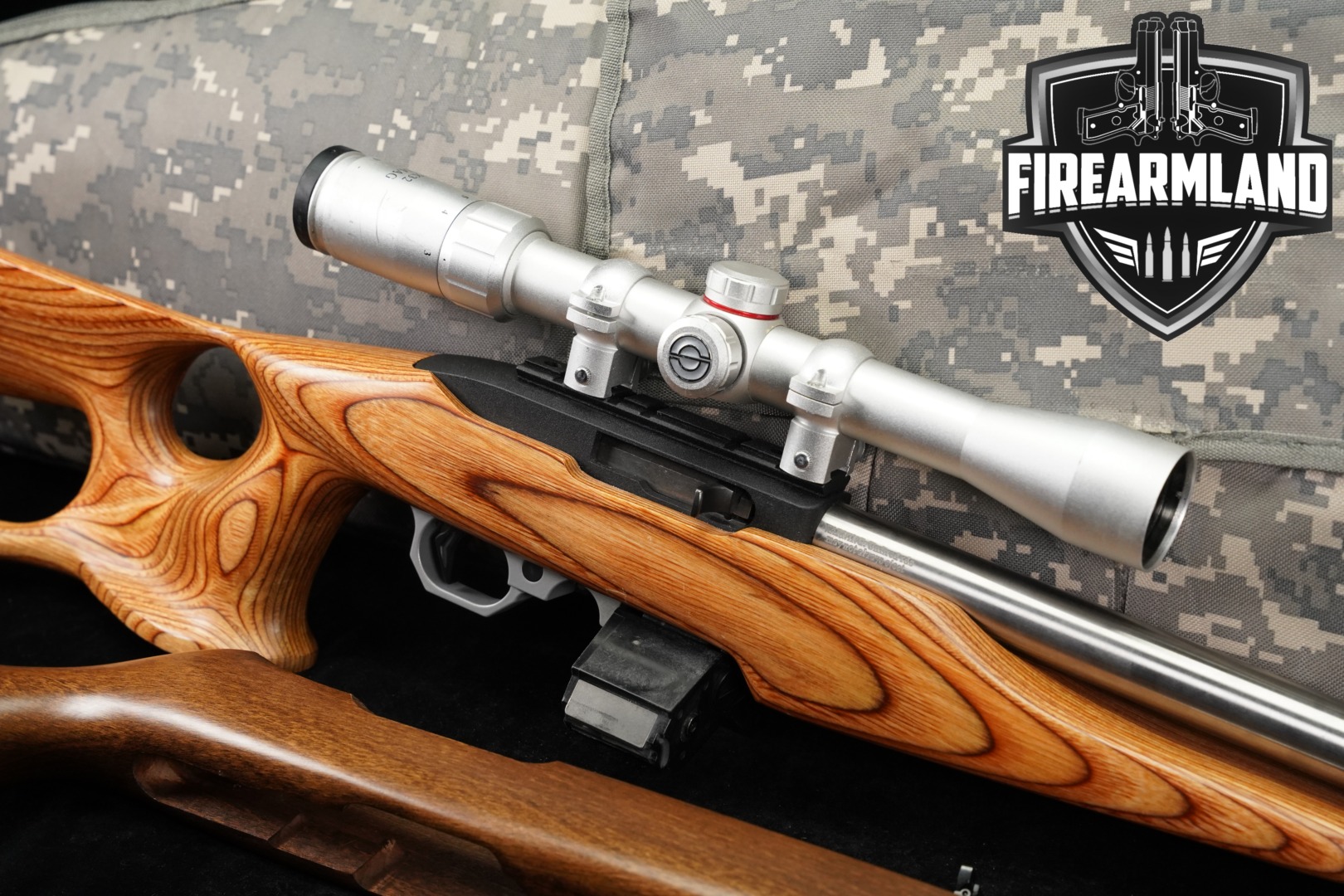 2010 Sturm Ruger Model 10/22 Carbine .22 LR Stainless & Laminate in Very Good Condition Thumbnail