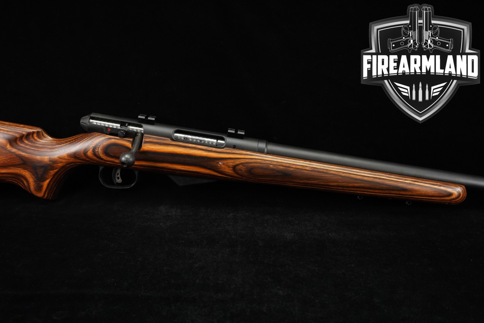 Savage Arms Model 25 .17 Hornet Blued & Brown Laminate in Good Condition Thumbnail