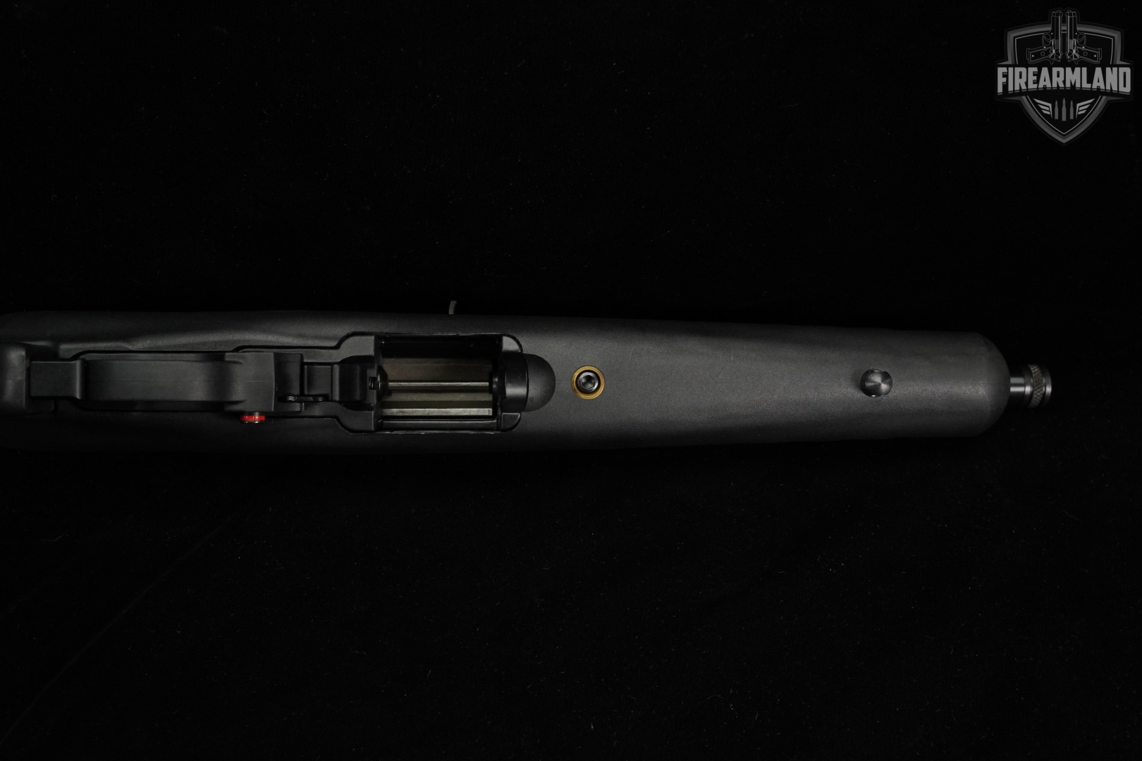 Ruger 22 Charger 22LR 8" SB TAC FOLDER BRACE +2 MAGS-img-13