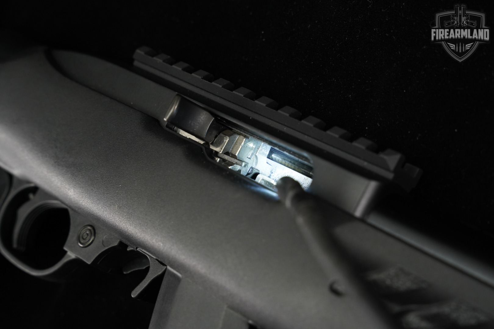 Ruger 22 Charger 22LR 8" SB TAC FOLDER BRACE +2 MAGS-img-18