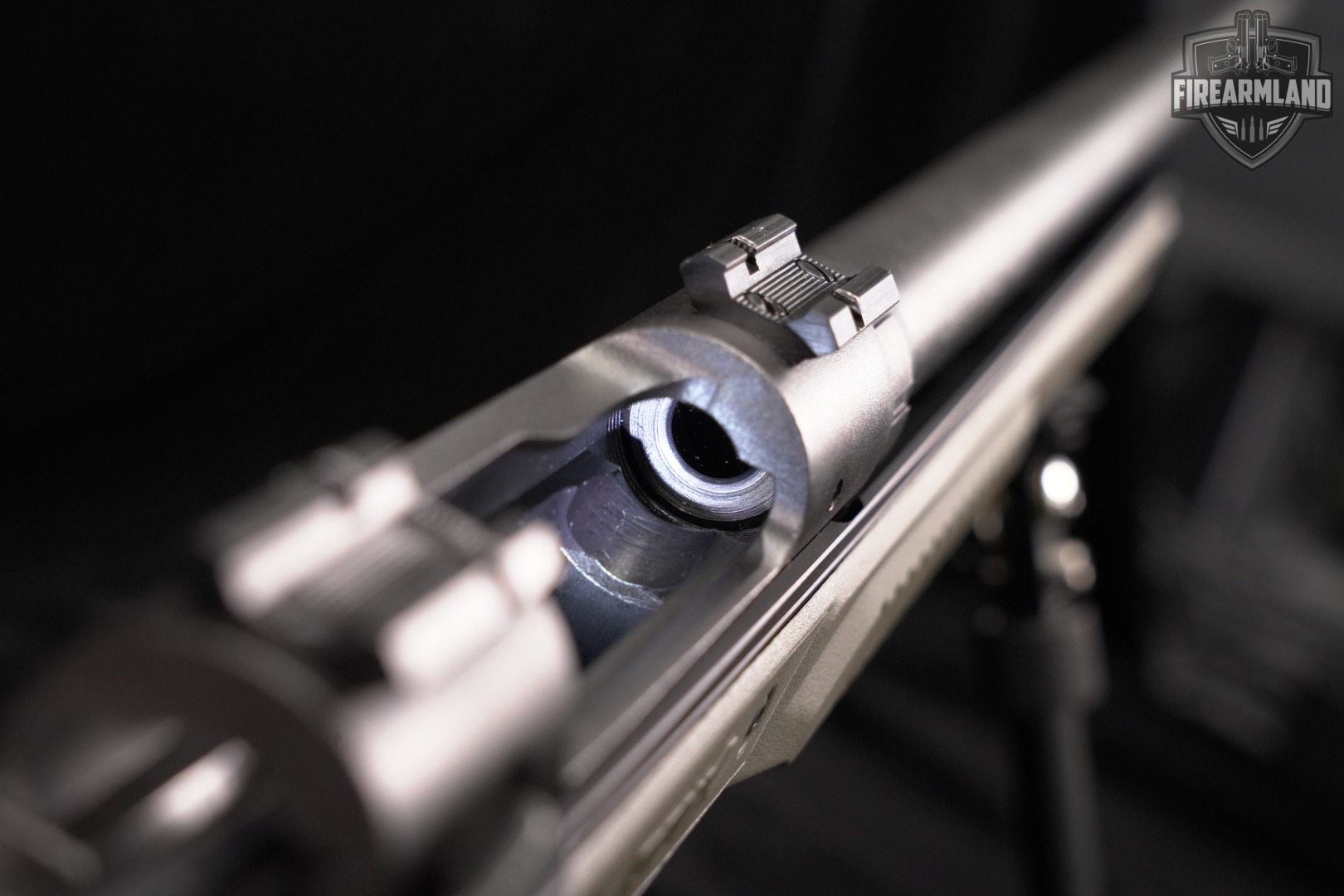 Savage Arms Model 10 308 Winchester 24" Blued M10 MDT ORYX CHASSIS +BIPOD-img-15