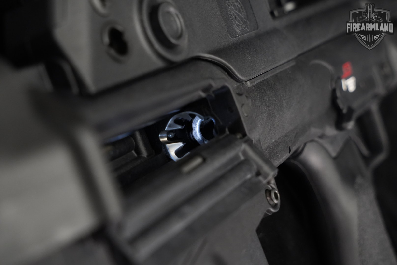 Springfield Armory Hellion 5.56 NATO Short-Stroke Piston +2 MAGS, ORIG CASE-img-16