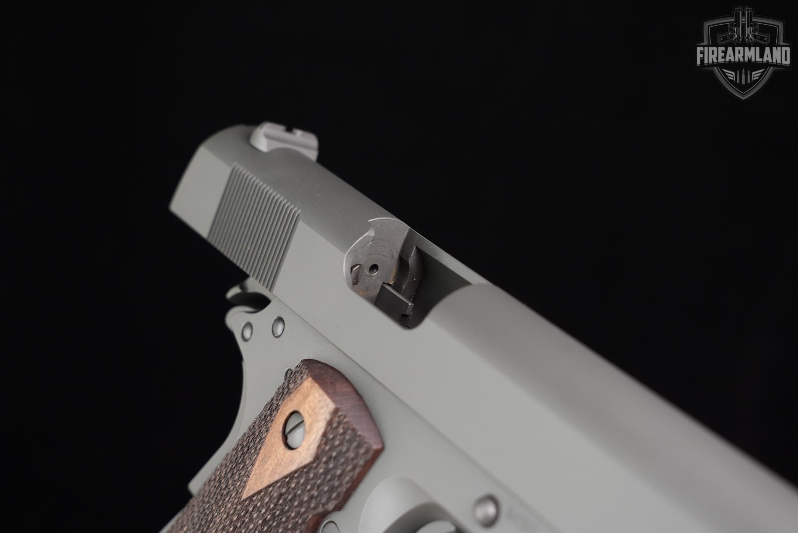 Tisas M1911 A1 GOVT 45 ACP 1911 5" Gray M1911A1 +2 MAGS & ORIG CASE-img-14
