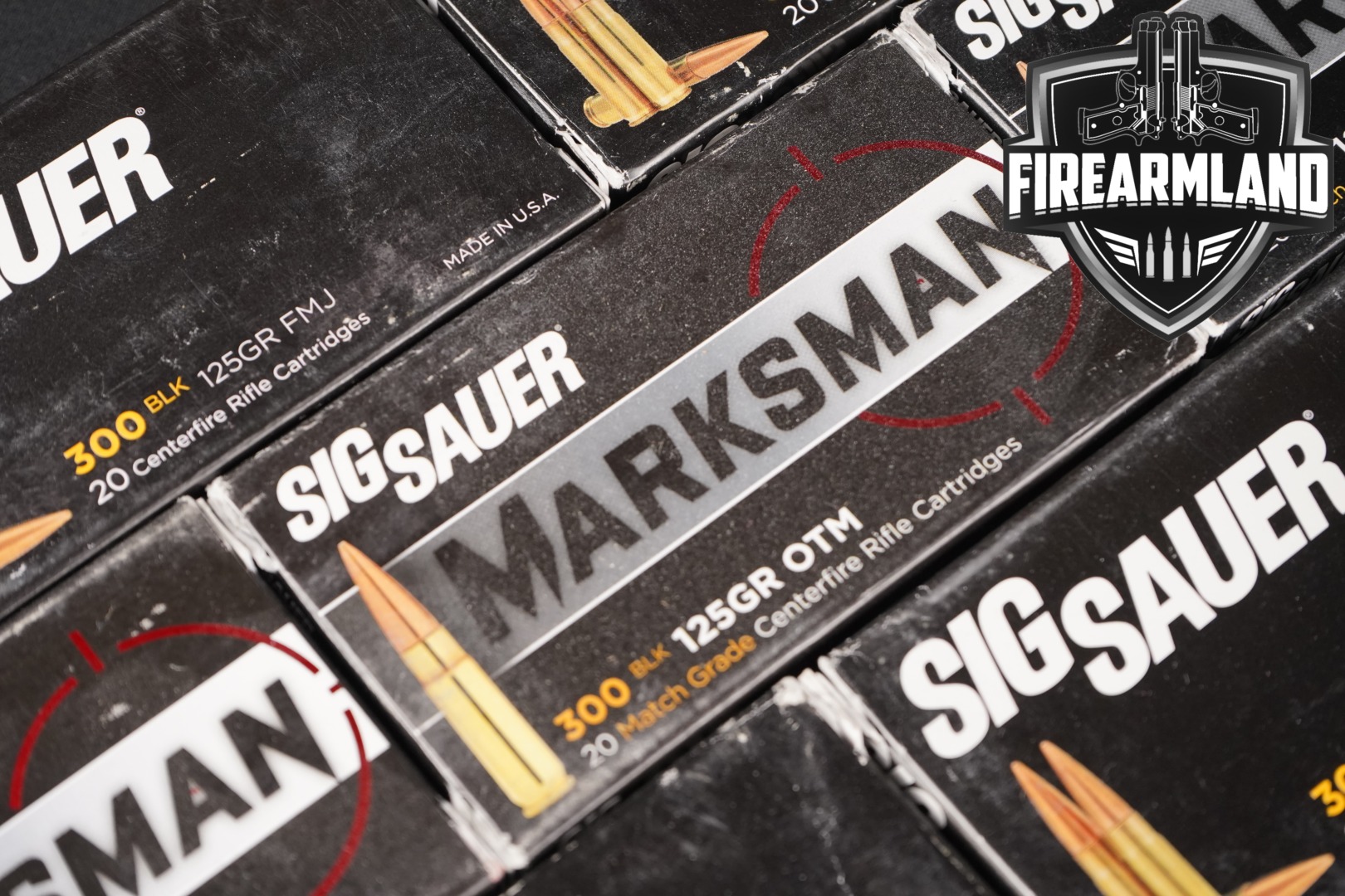 Sig Sauer 300 Blackout .300 AAC Blackout (7.62x35mm) in New - Old Stock Condition Thumbnail