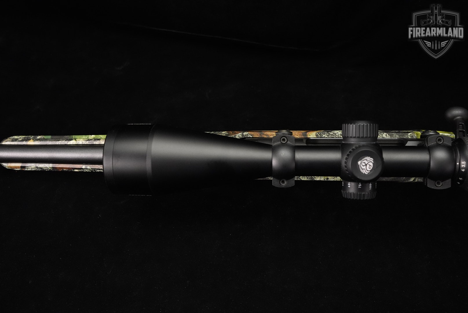 Savage Arms Axis 22-250 Rem Blued & Camouflage +NIKON SCOPE-img-12