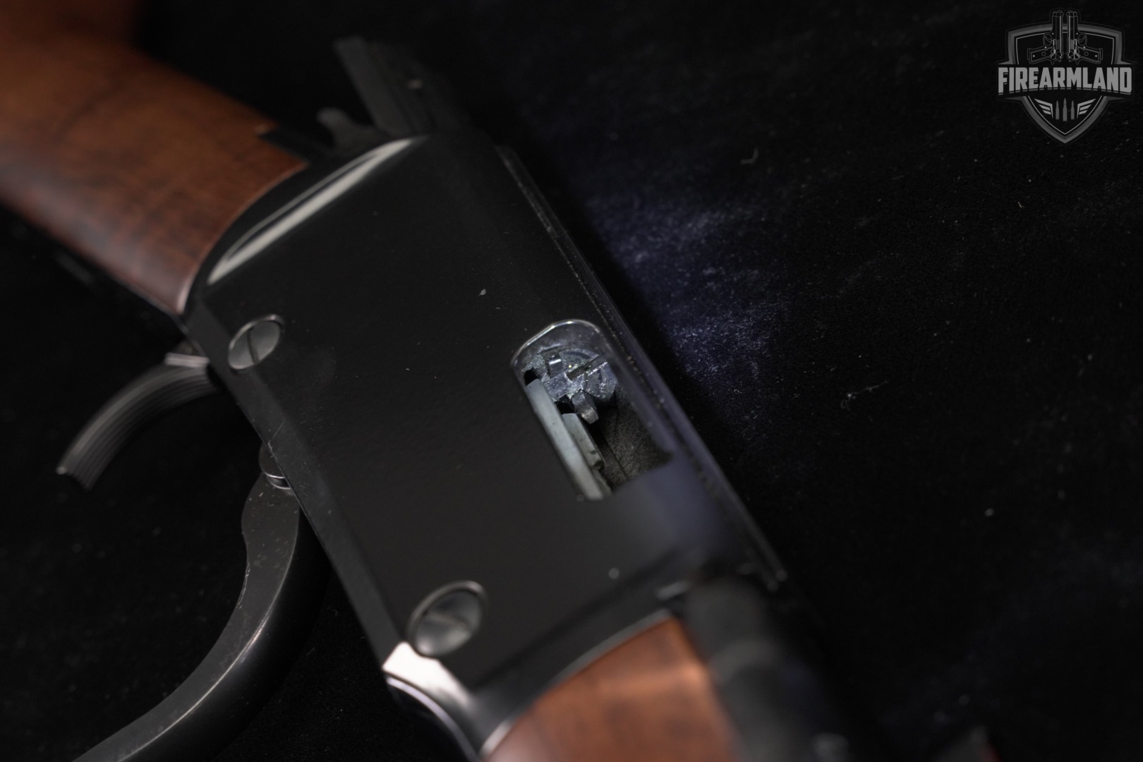 Henry H001 22 S/L/LR 18.5" Black & Walnut +CASE-img-17