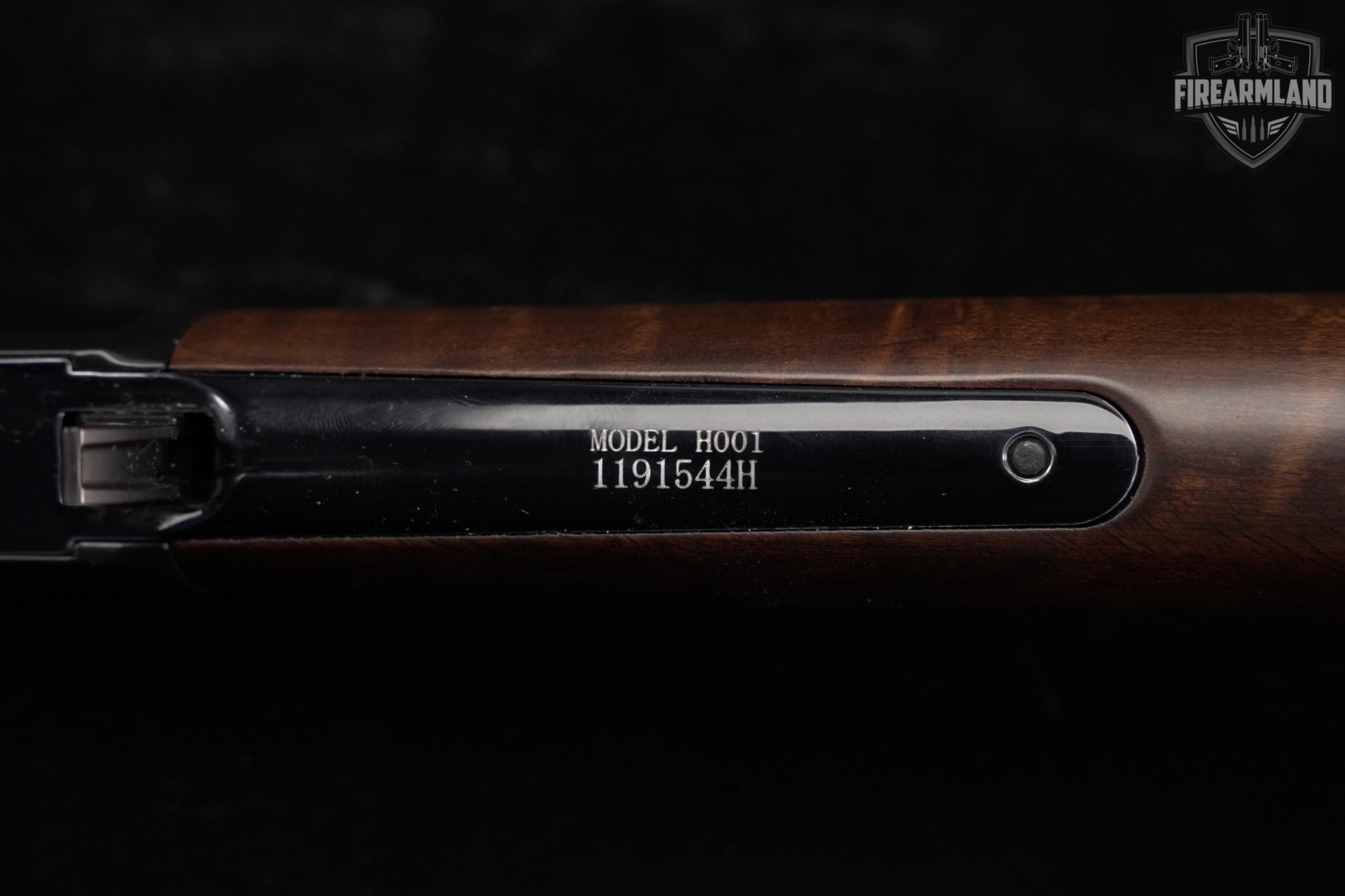 Henry H001 22 S/L/LR 18.5" Black & Walnut +CASE-img-18