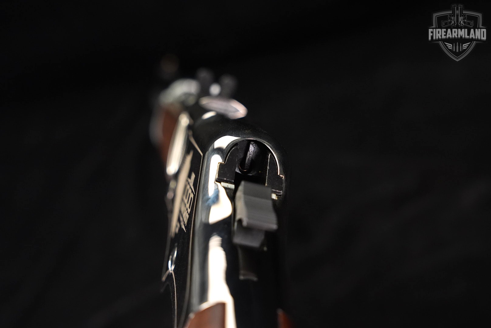 LIMITED 16 Of 1000 Henry Golden Boy Silver NRA 22LR 20" OCTAGON +ORIG CASE-img-25
