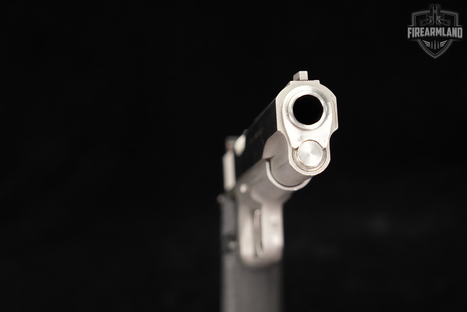 AMT Hardballer 45 ACP 1911 5" Stainless-img-9