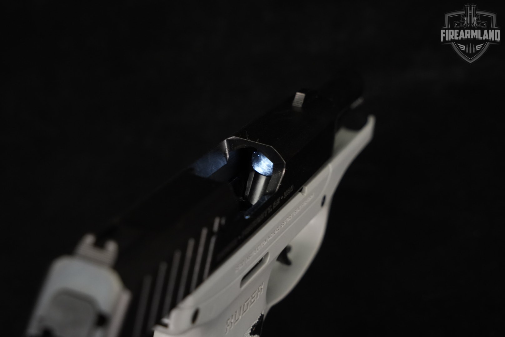 Ruger EC9s 9mm 3.12" Two-Tone Black & Gray EC9-S EC-9-img-10