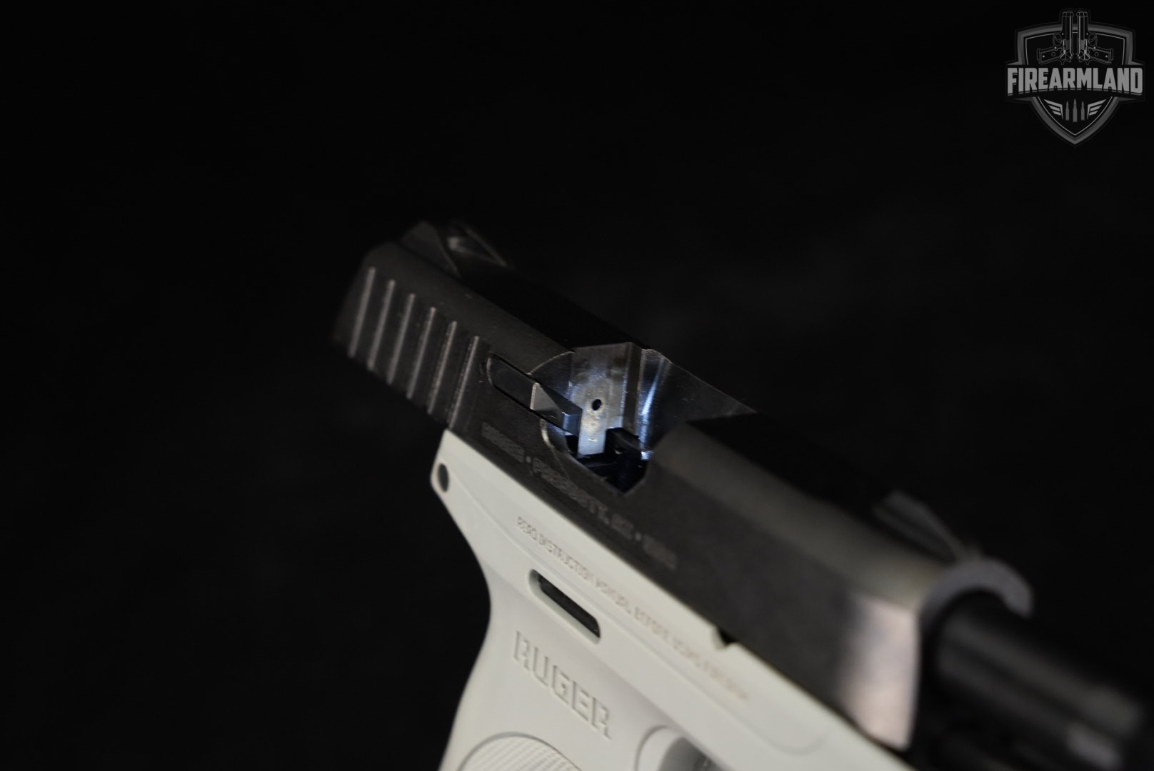 Ruger EC9s 9mm 3.12" Two-Tone Black & Gray EC9-S EC-9-img-11