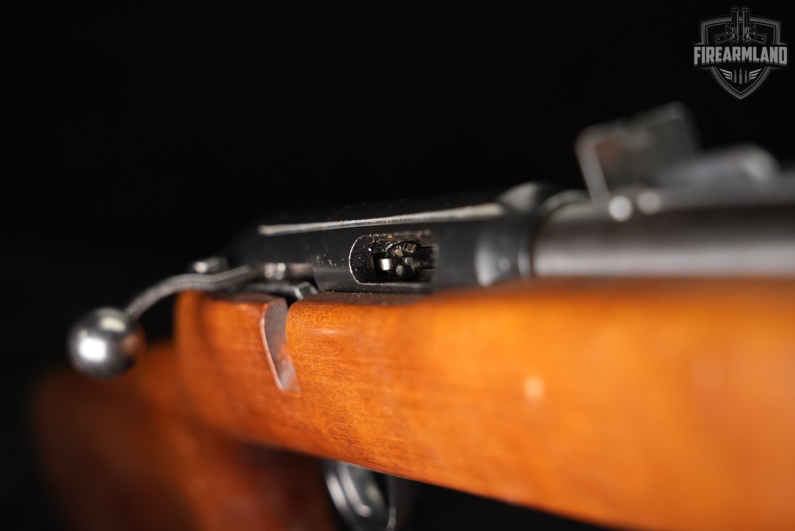 Savage Arms Model 63M 22 WMR 18" Blued & Walnut 63-M M63-img-17