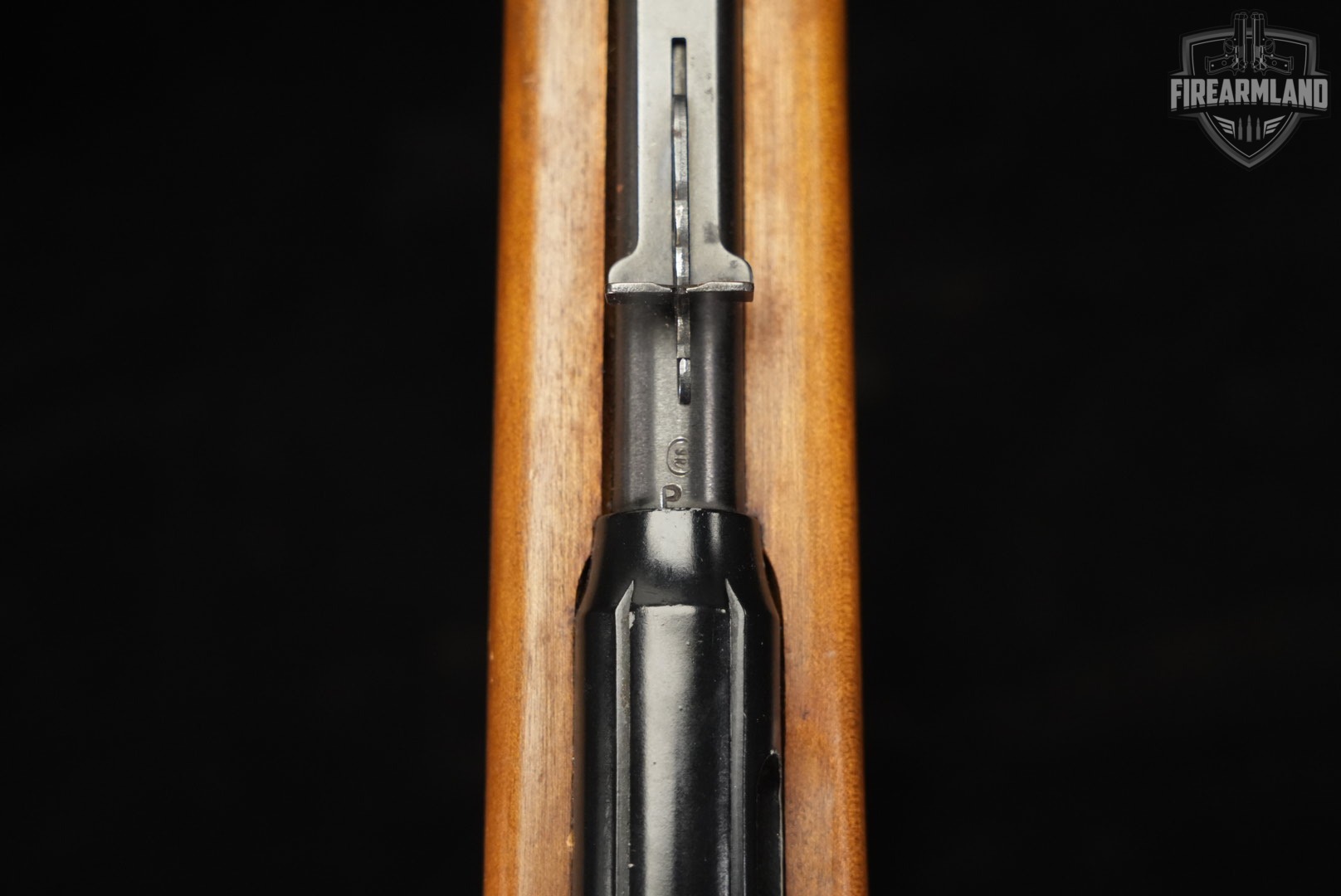 Savage Arms Model 63M 22 WMR 18" Blued & Walnut 63-M M63-img-19