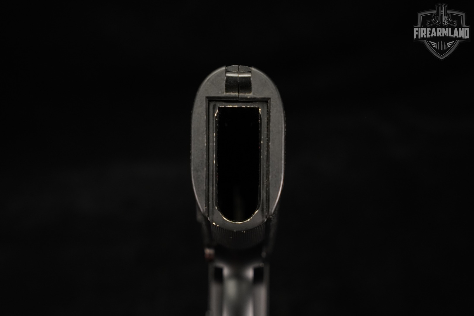 Sig Sauer P220 45 ACP 3.9" P 220 +2 MAGS-img-7