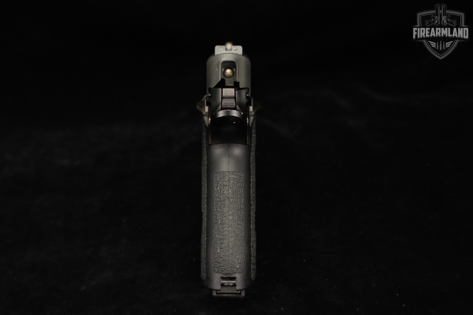 Sig Sauer P220 45 ACP 3.9" P 220 +2 MAGS-img-8