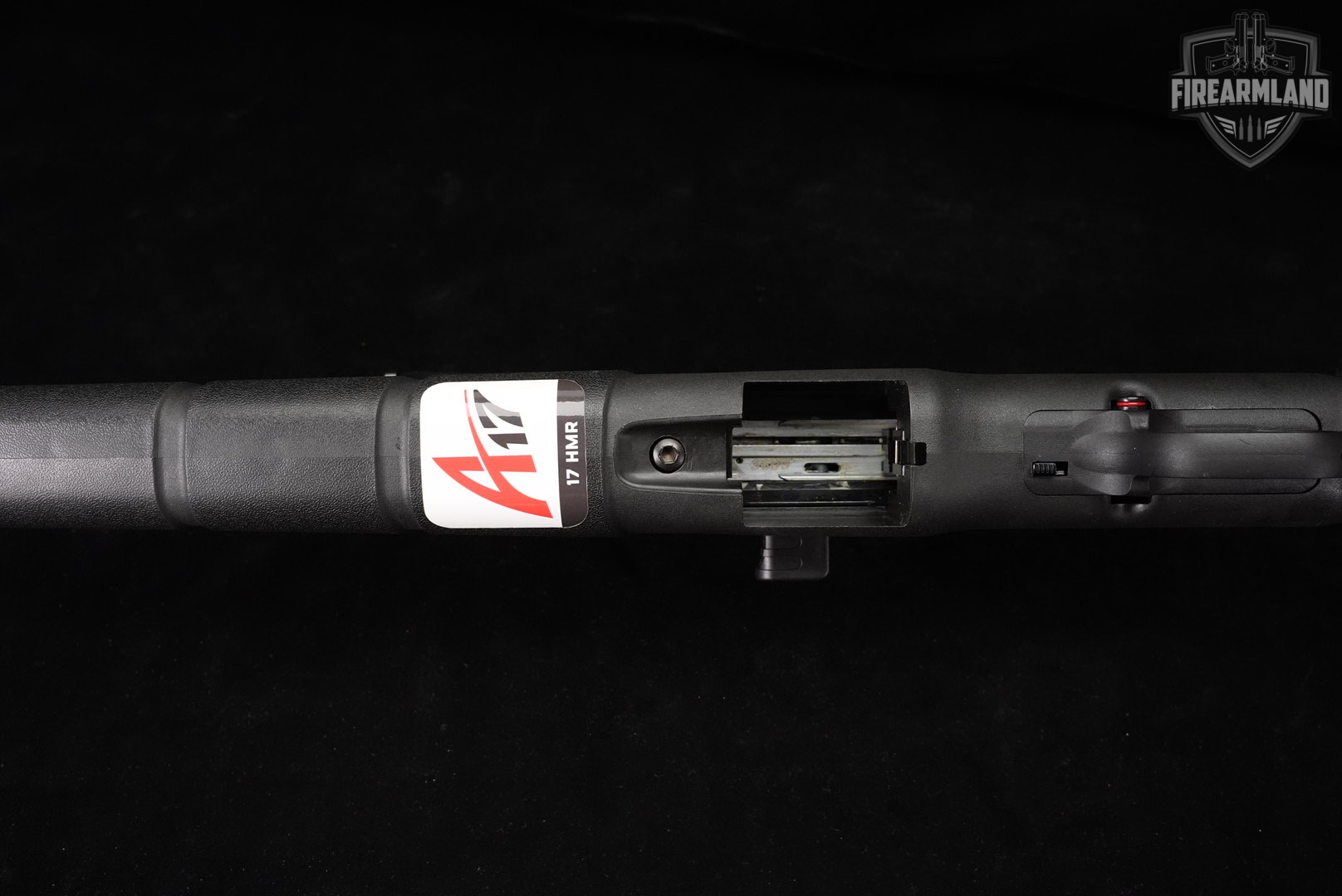 Savage Arms A17 17 HMR 22" Case-Hardened & Synthetic A +BUSHNELL SCOPE-img-14