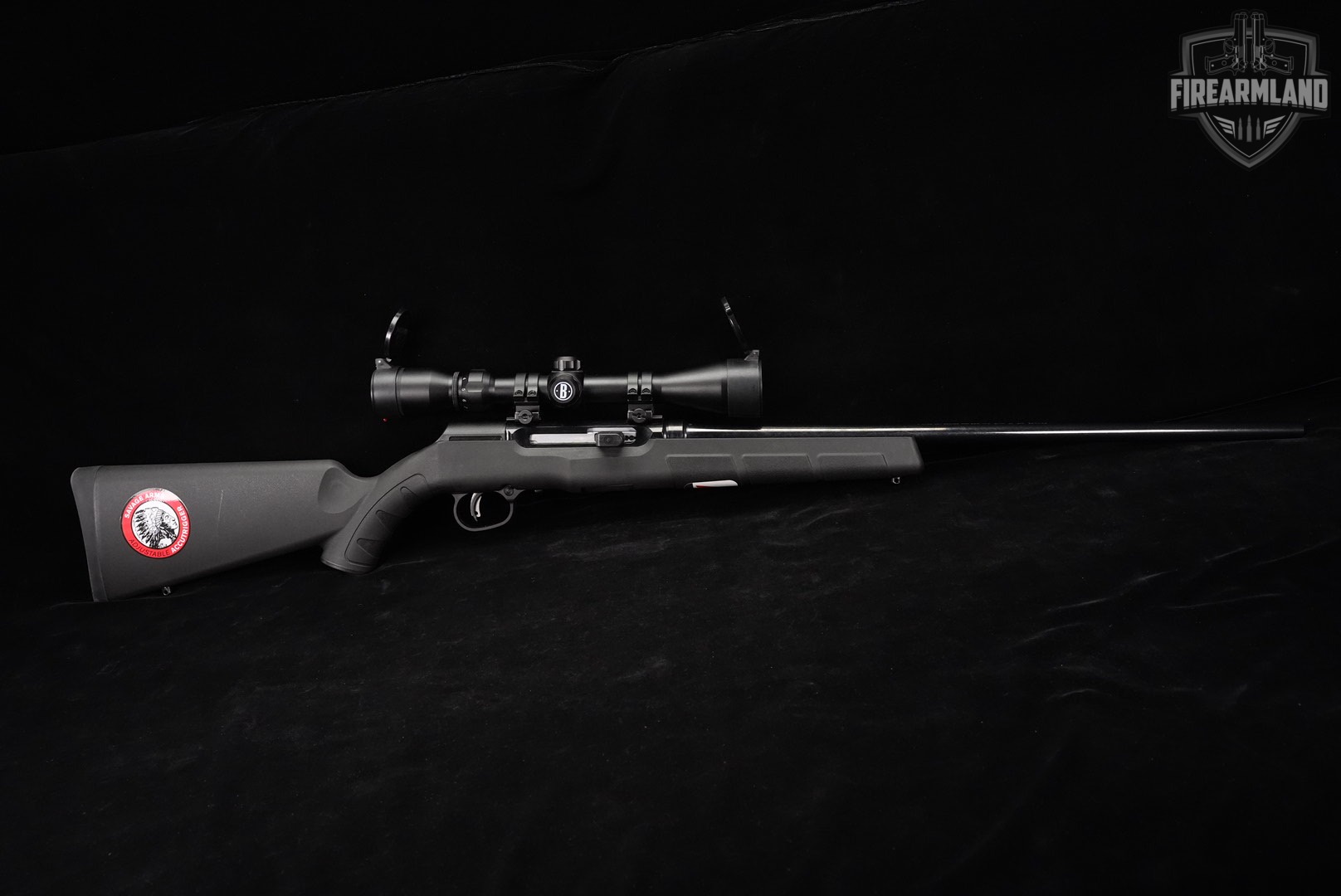 Savage Arms A17 17 HMR 22" Case-Hardened & Synthetic A +BUSHNELL SCOPE-img-2