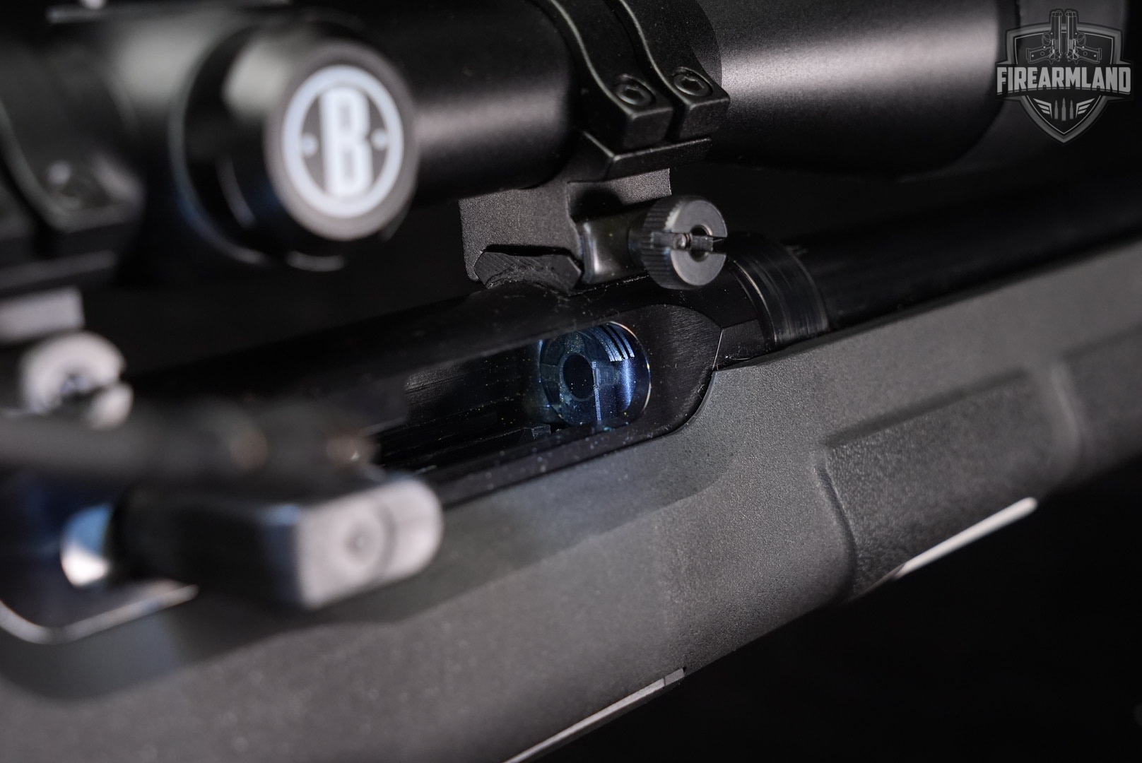 Savage Arms A17 17 HMR 22" Case-Hardened & Synthetic A +BUSHNELL SCOPE-img-20