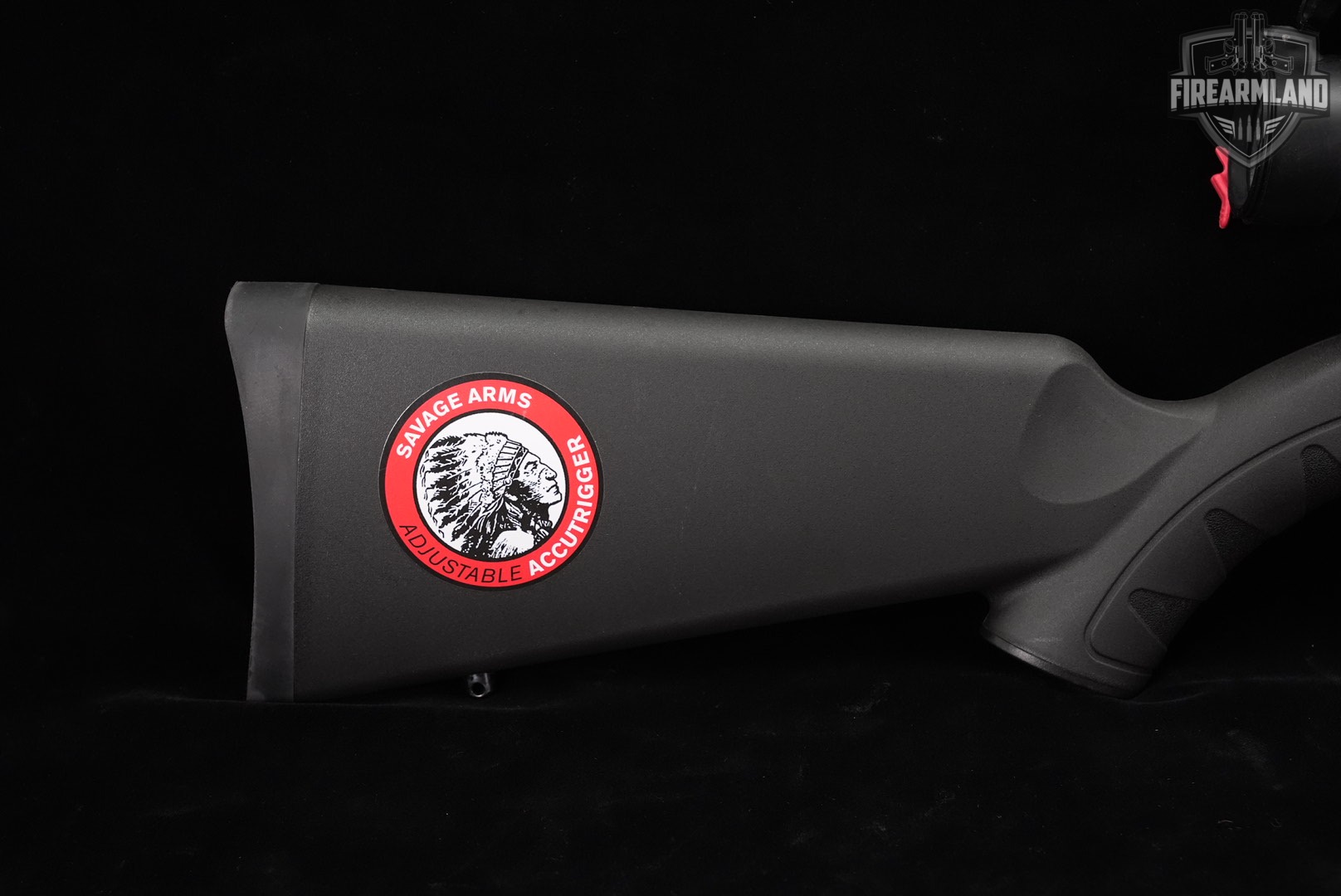 Savage Arms A17 17 HMR 22" Case-Hardened & Synthetic A +BUSHNELL SCOPE-img-3