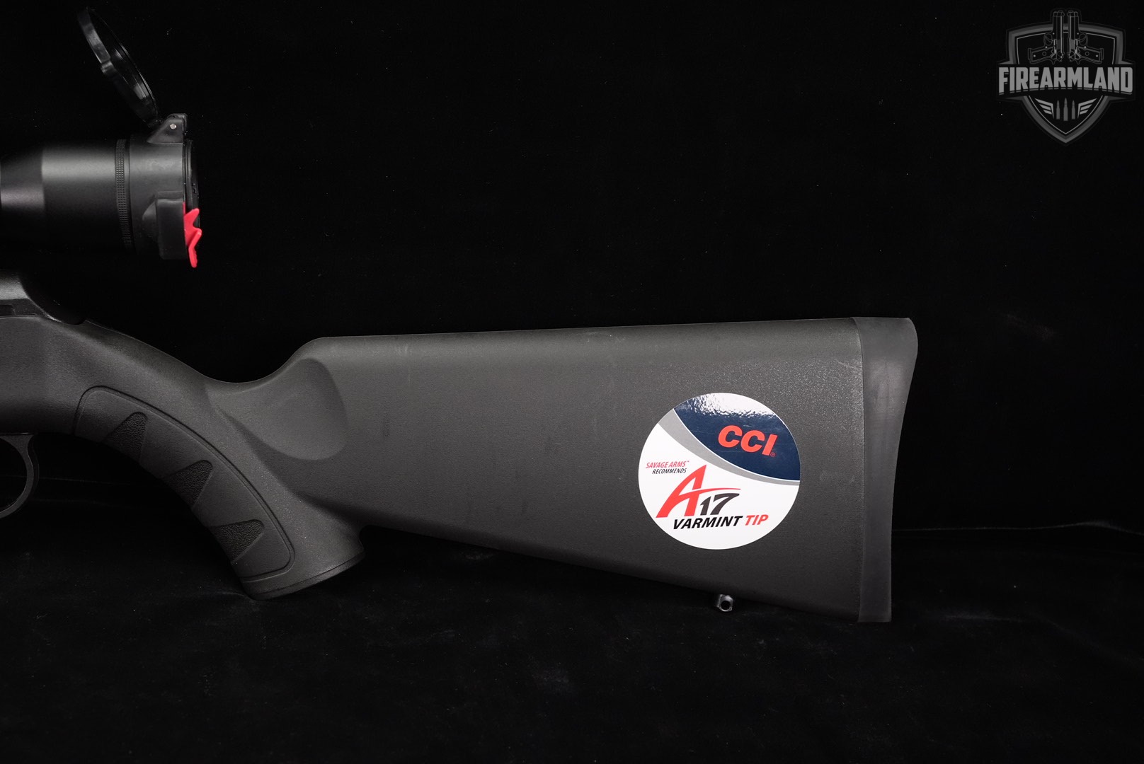 Savage Arms A17 17 HMR 22" Case-Hardened & Synthetic A +BUSHNELL SCOPE-img-9