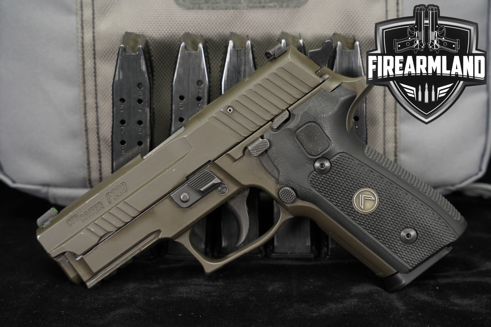 Sig Sauer P229 Legion 9mm 3.9" Gray-Green P 229 +6 MAGS, CASE-img-0