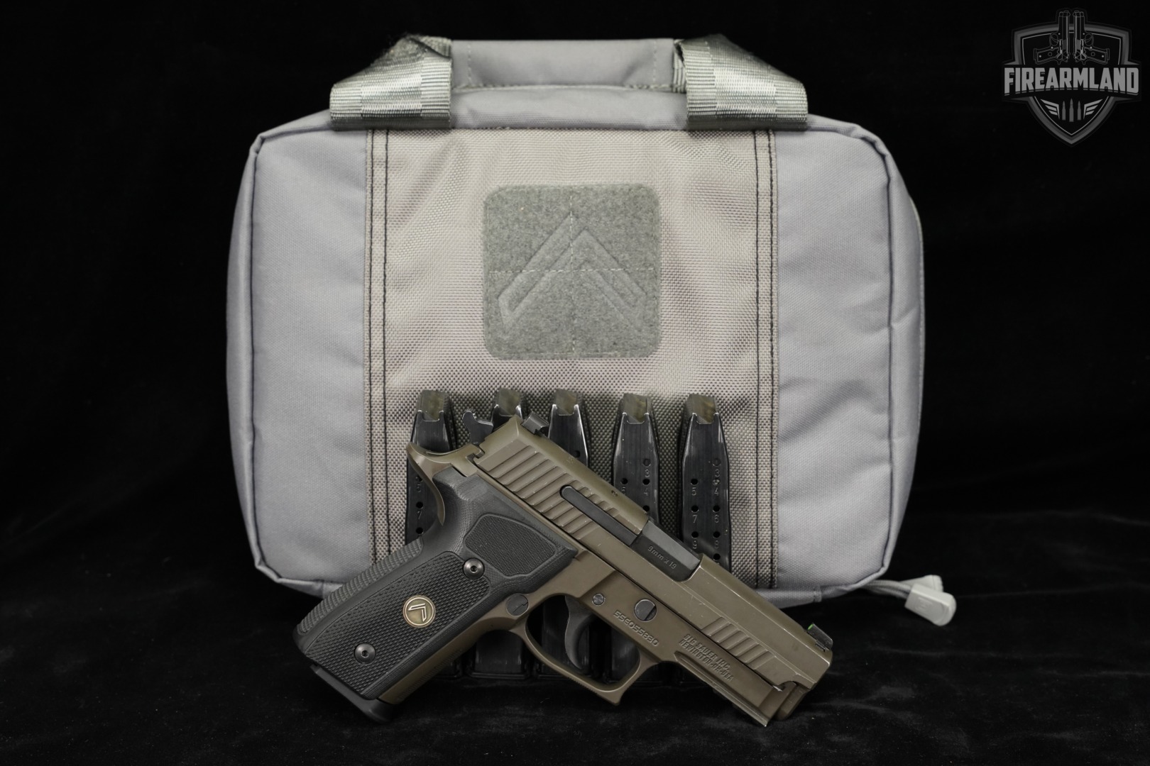 Sig Sauer P229 Legion 9mm 3.9" Gray-Green P 229 +6 MAGS, CASE-img-2