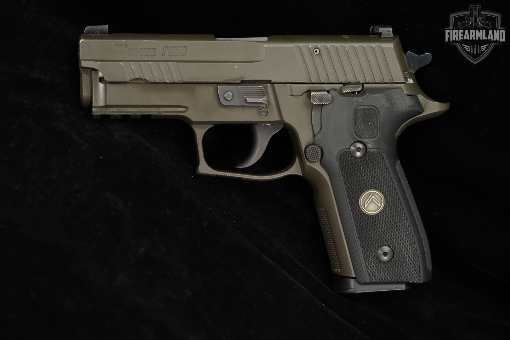 Sig Sauer P229 Legion 9mm 3.9" Gray-Green P 229 +6 MAGS, CASE-img-3