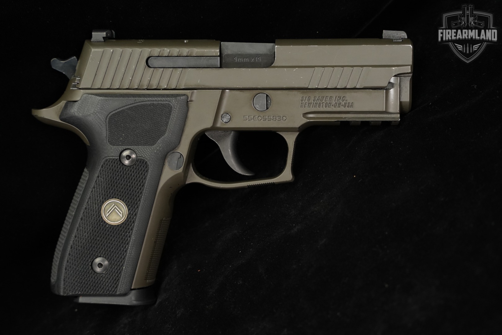 Sig Sauer P229 Legion 9mm 3.9" Gray-Green P 229 +6 MAGS, CASE-img-4