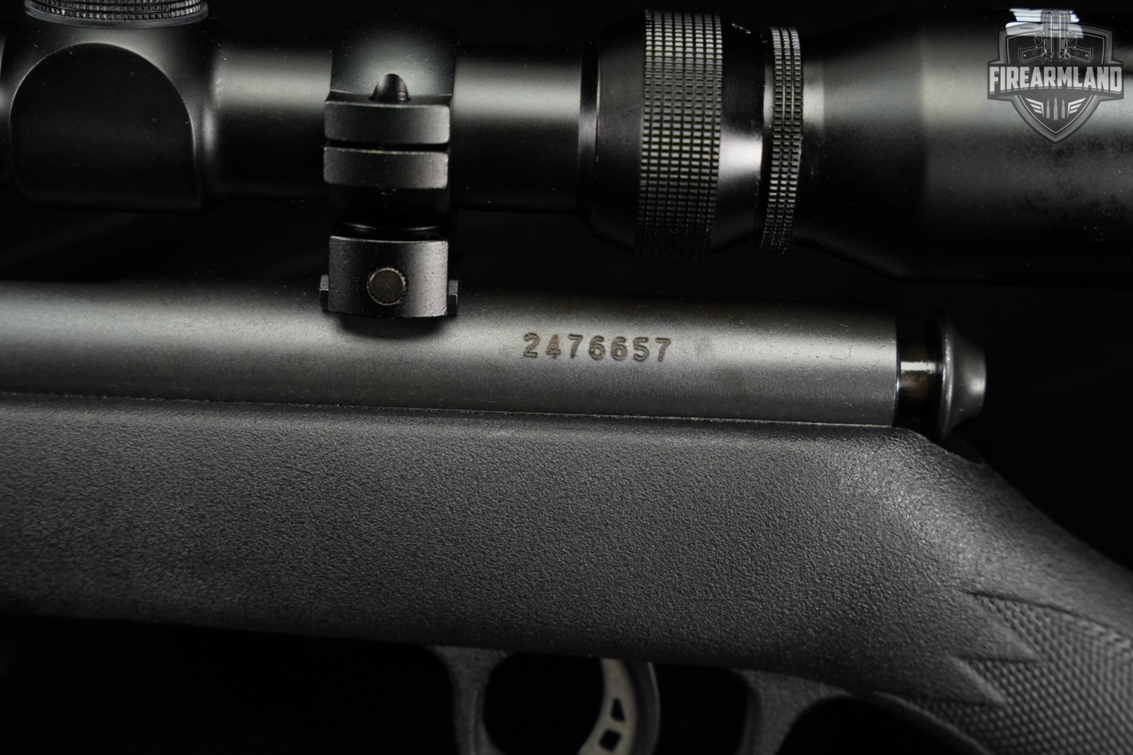 Savage Arms Mark II FV 22LR 21" Blued & Synthetic MK 2 +BUSHNELL SCOPE-img-20