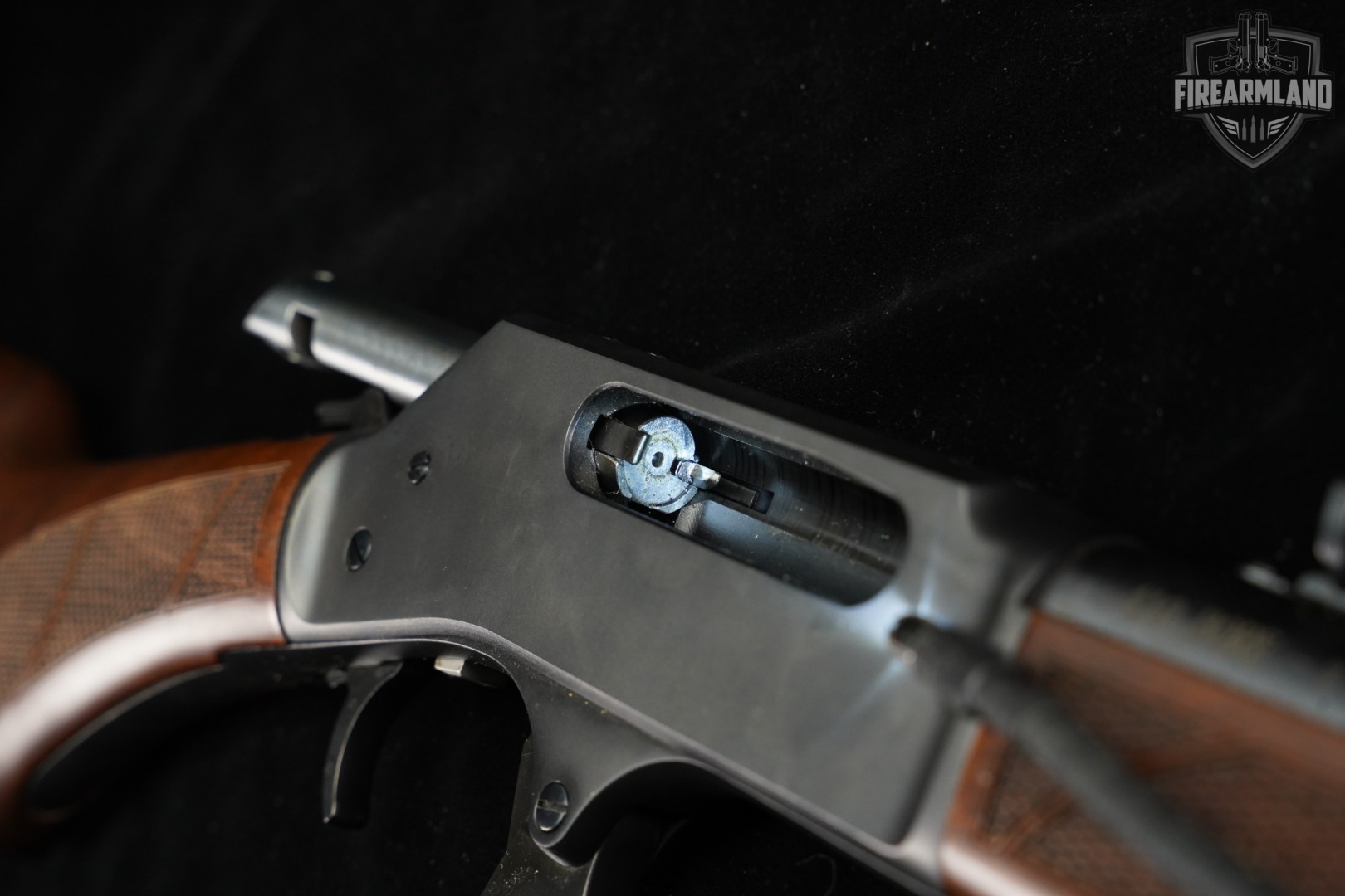 Henry Model H018-410R .410 Bore 20" Blued & Walnut 2.5"-img-21