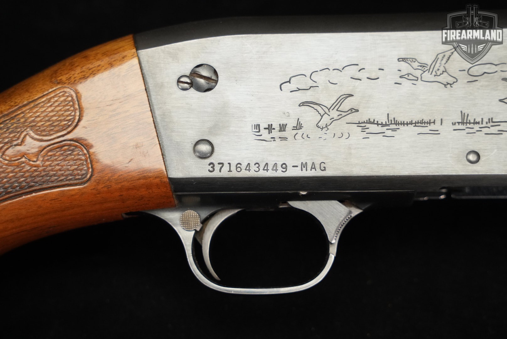 Ithaca Model 37 Featherlight Magnum 12-Gauge Blued & Walnut M37 VENT-RIB-img-20