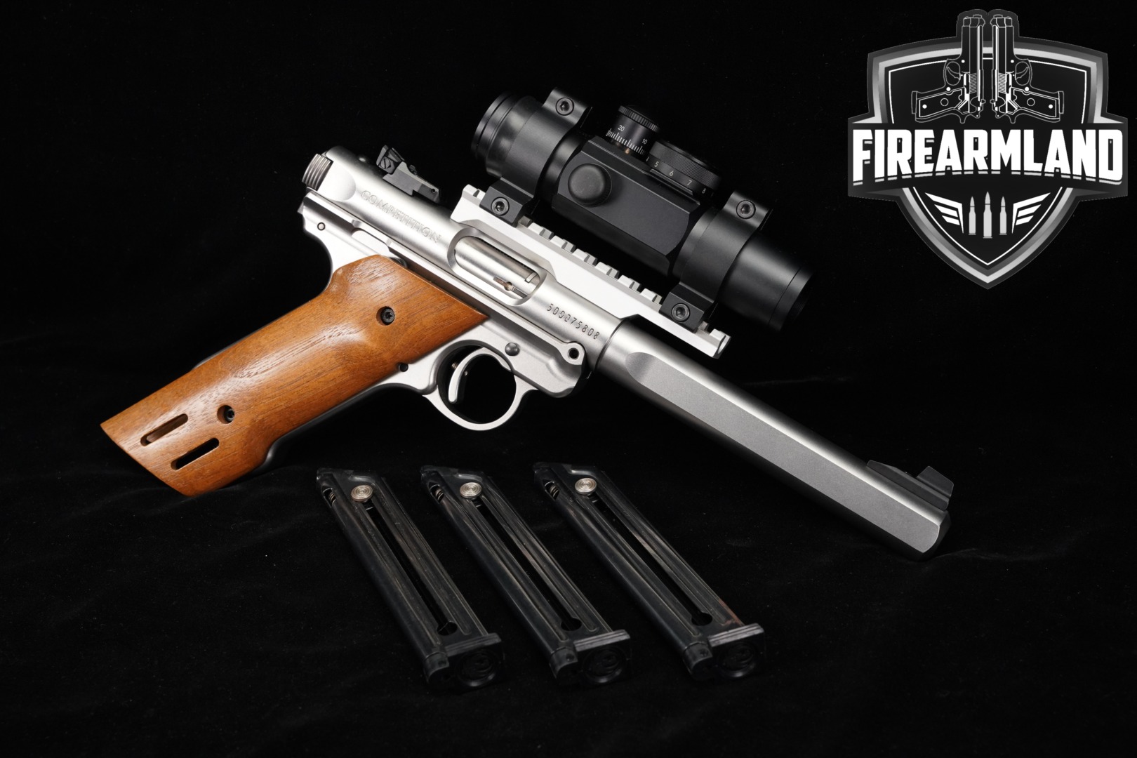 https://cash-for-arms-pictures.s3.amazonaws.com/receTLPvP6j6UjRjq/1.jpg