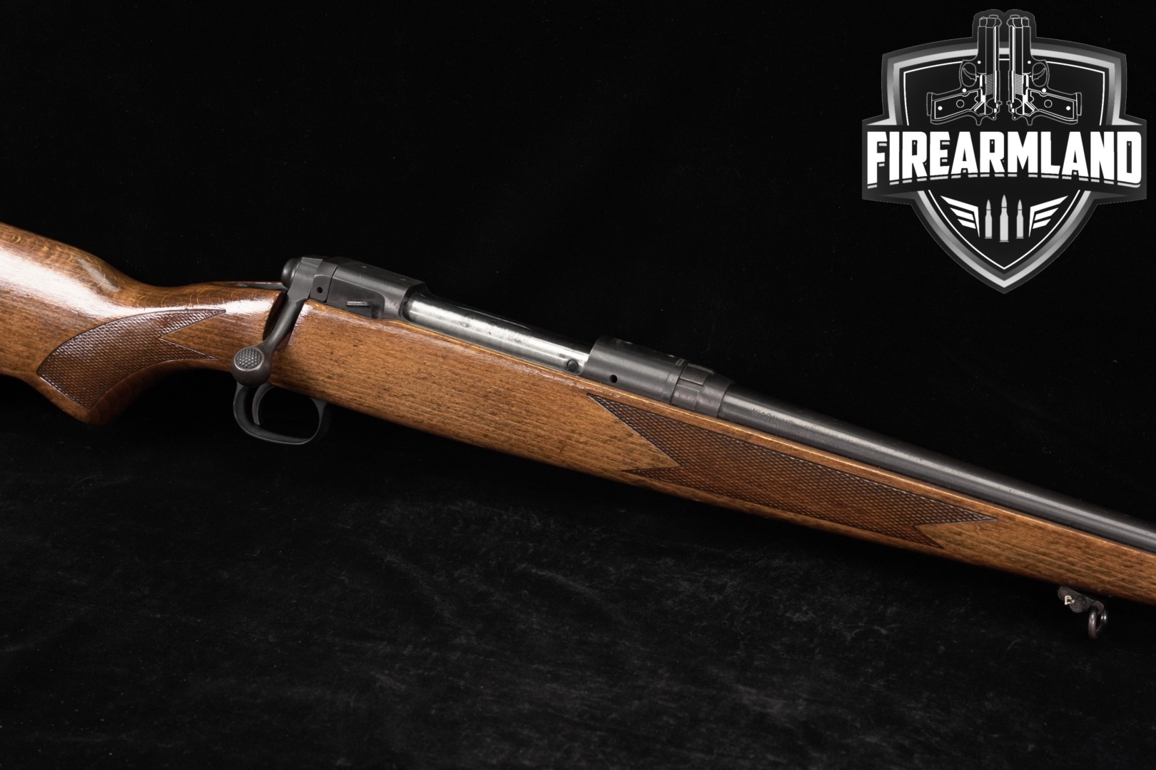 Savage Arms Model 110 300 Win Magnum 24" Blued & Wood M110-img-0