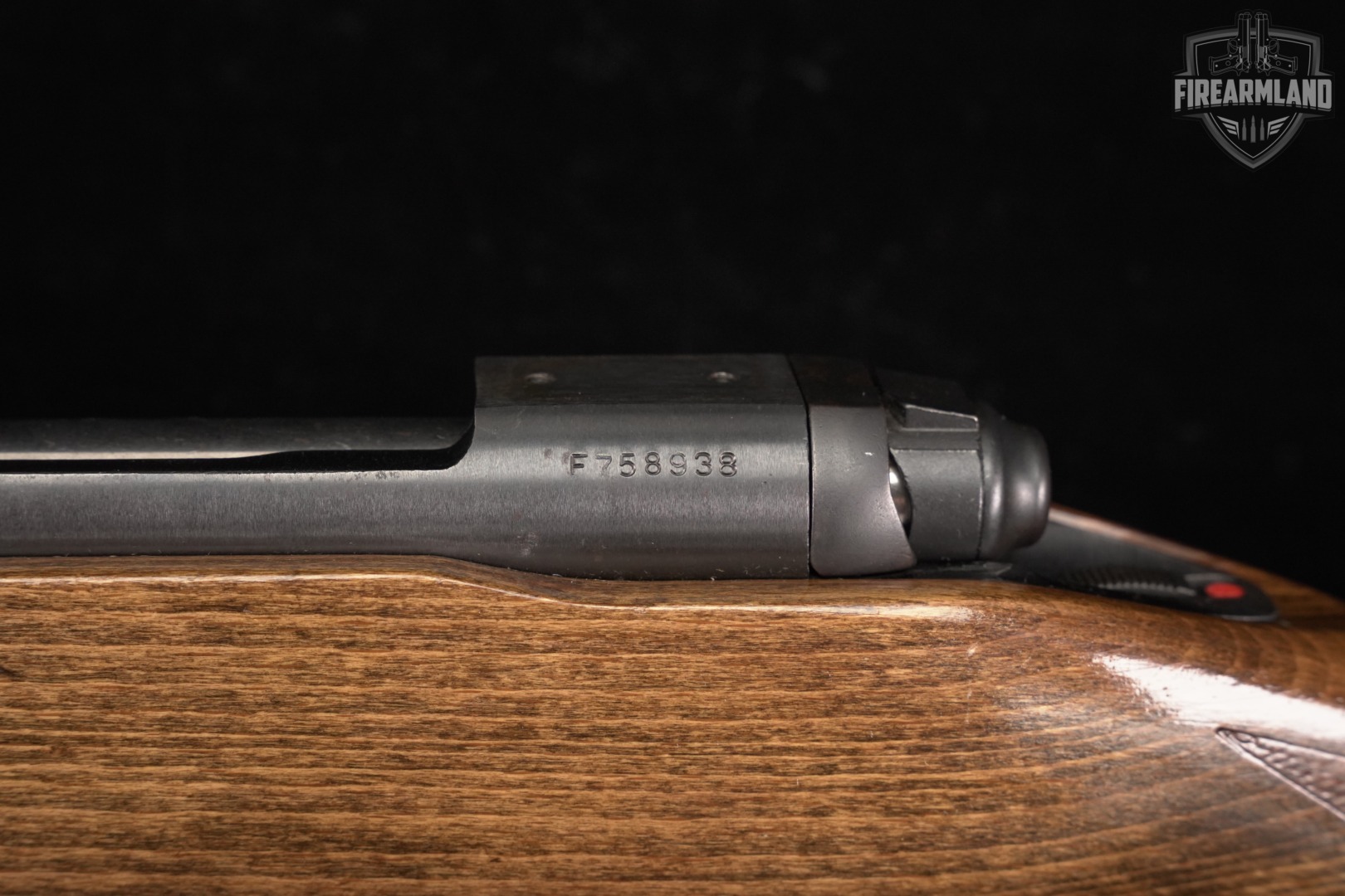 Savage Arms Model 110 300 Win Magnum 24" Blued & Wood M110-img-17