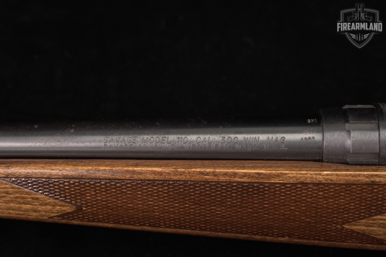 Savage Arms Model 110 300 Win Magnum 24" Blued & Wood M110-img-18