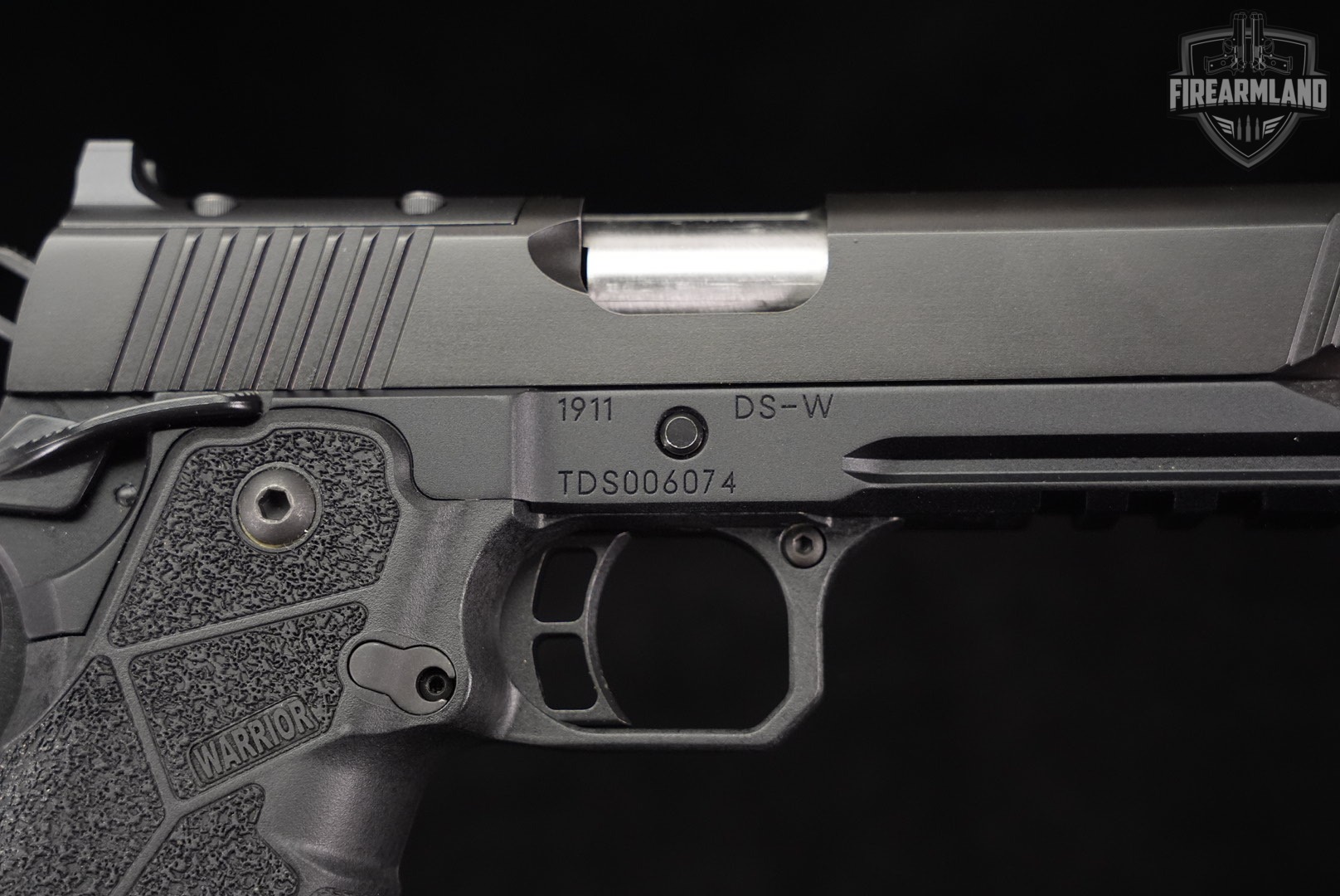 Kimber 1911 DS Warrior LW 9mm Optics-Ready 5" 2011 +2 MAGS & ORIG CASE-img-12