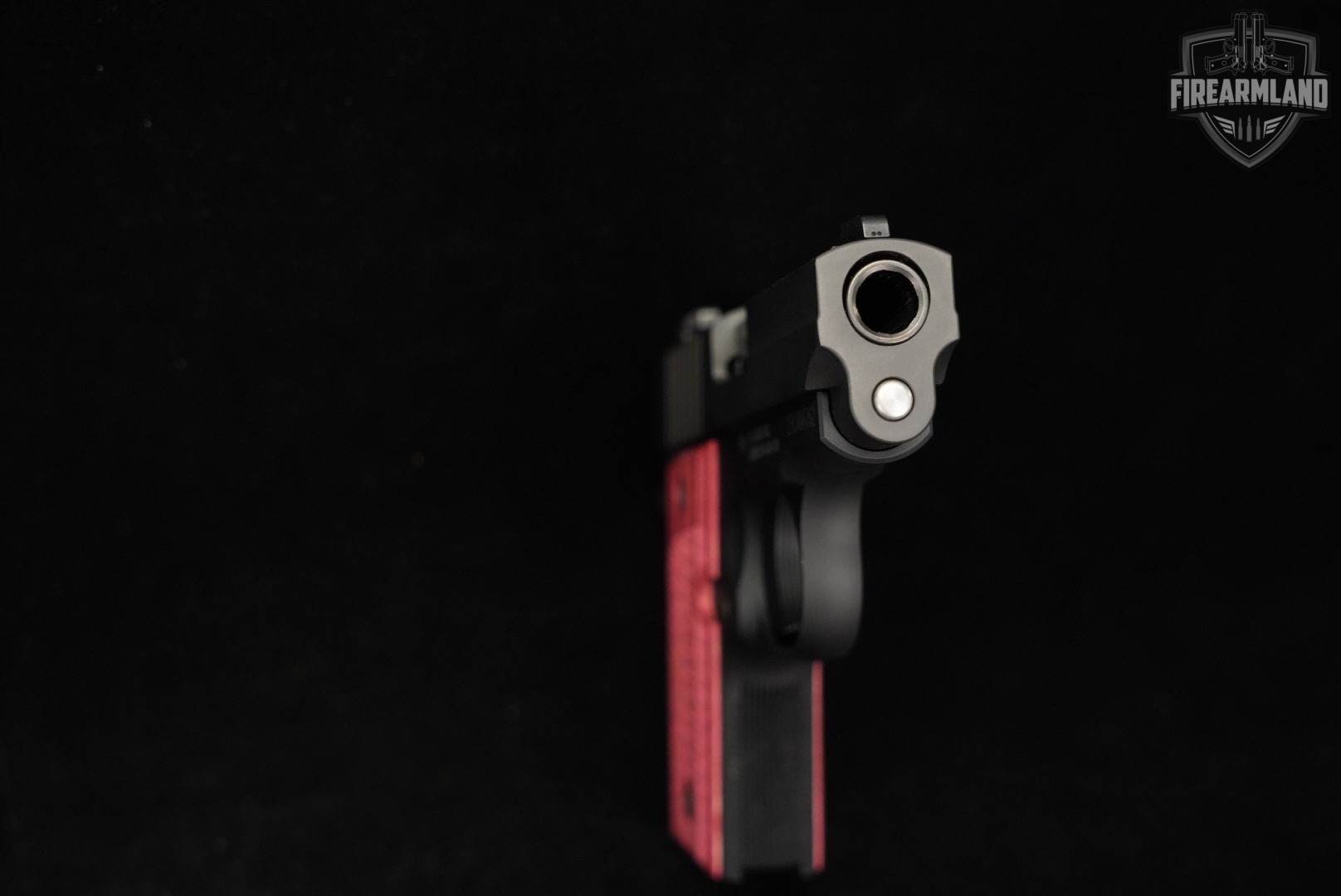 Sig Sauer P238 380 ACP 2.75" P-238 +ORIG CASE-img-9