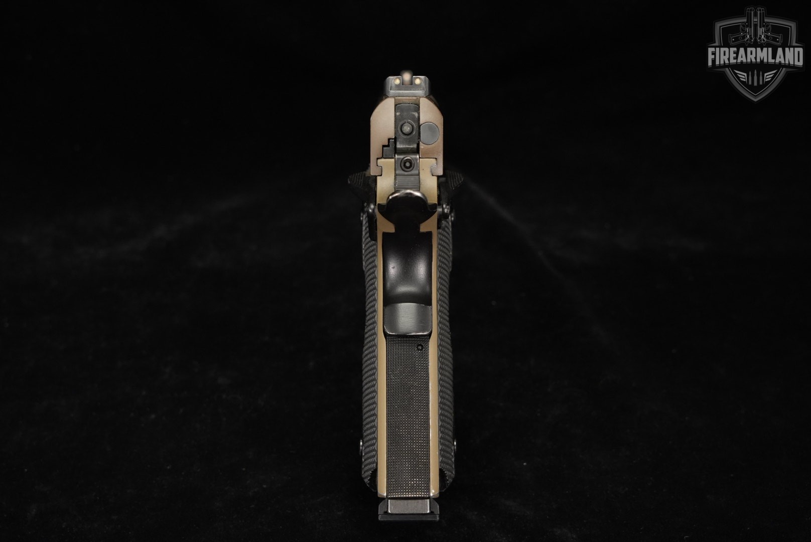 Taurus PT 1911 AR 45 ACP 5" FDE PT1911-img-8
