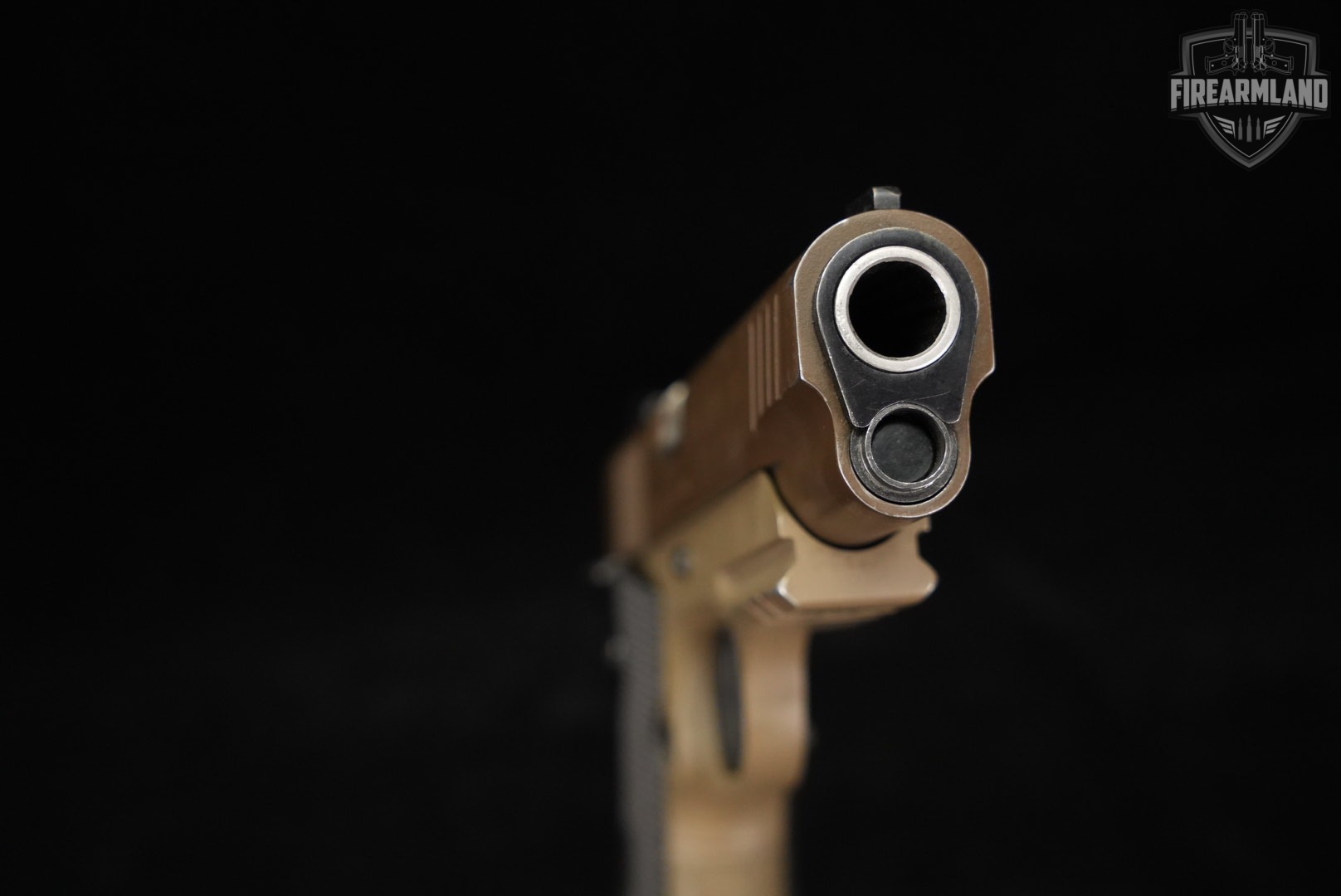 Taurus PT 1911 AR 45 ACP 5" FDE PT1911-img-9