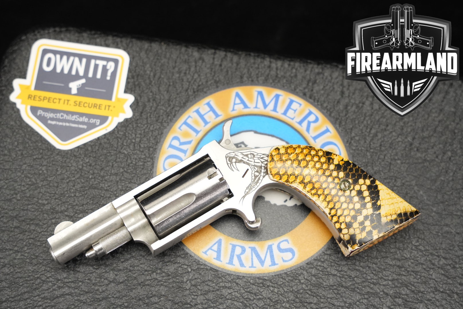 North American Arms (NAA) NAA-22M Anti-Venom; Limited Edition; Bill Hicks & Co. Exclusive .22 WMR Satin Stainless in Good Condition Thumbnail