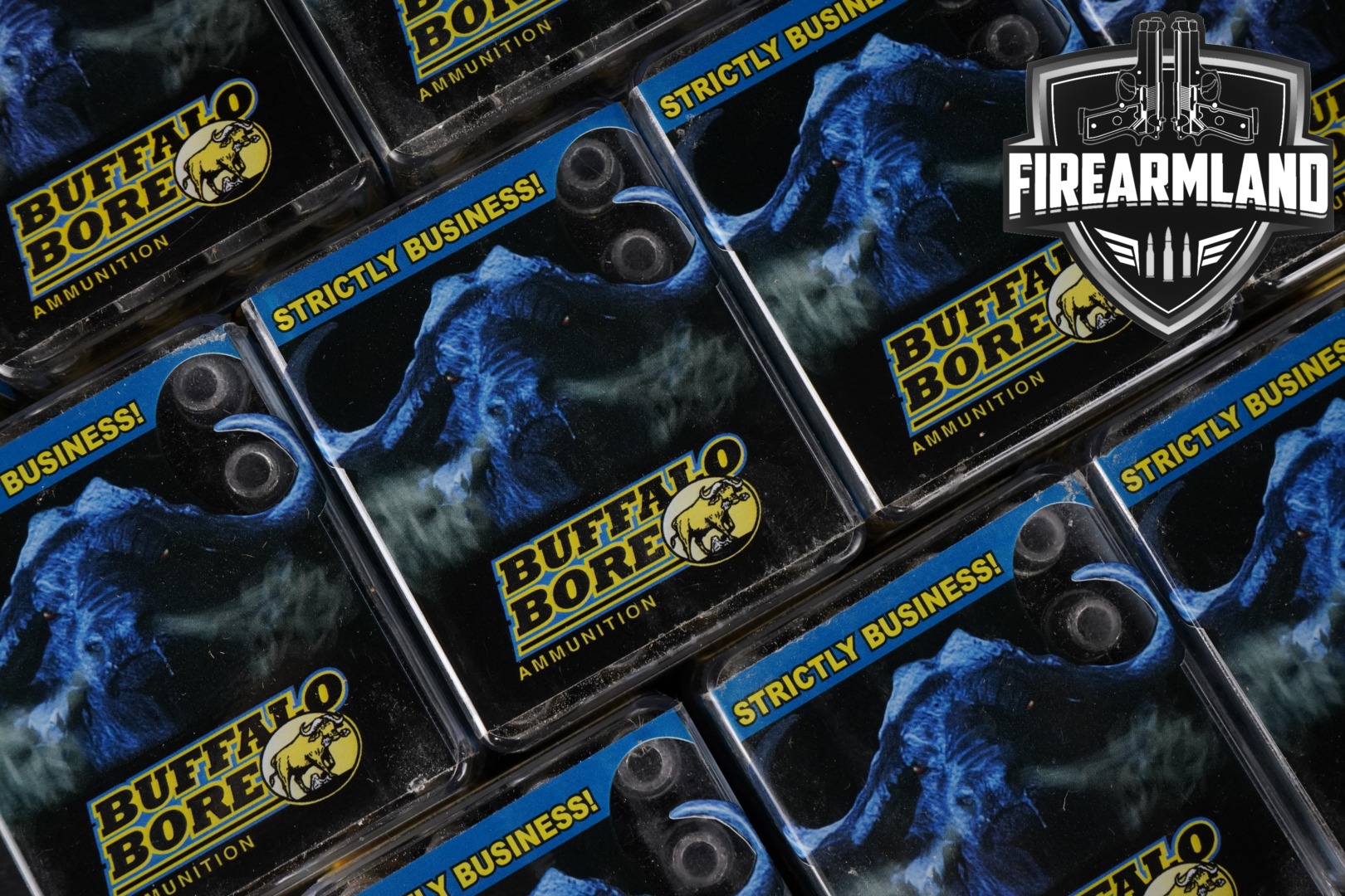 Buffalo Bore 44 Magnum +P Ammunition .44 Mag. in New - Old Stock Condition Thumbnail