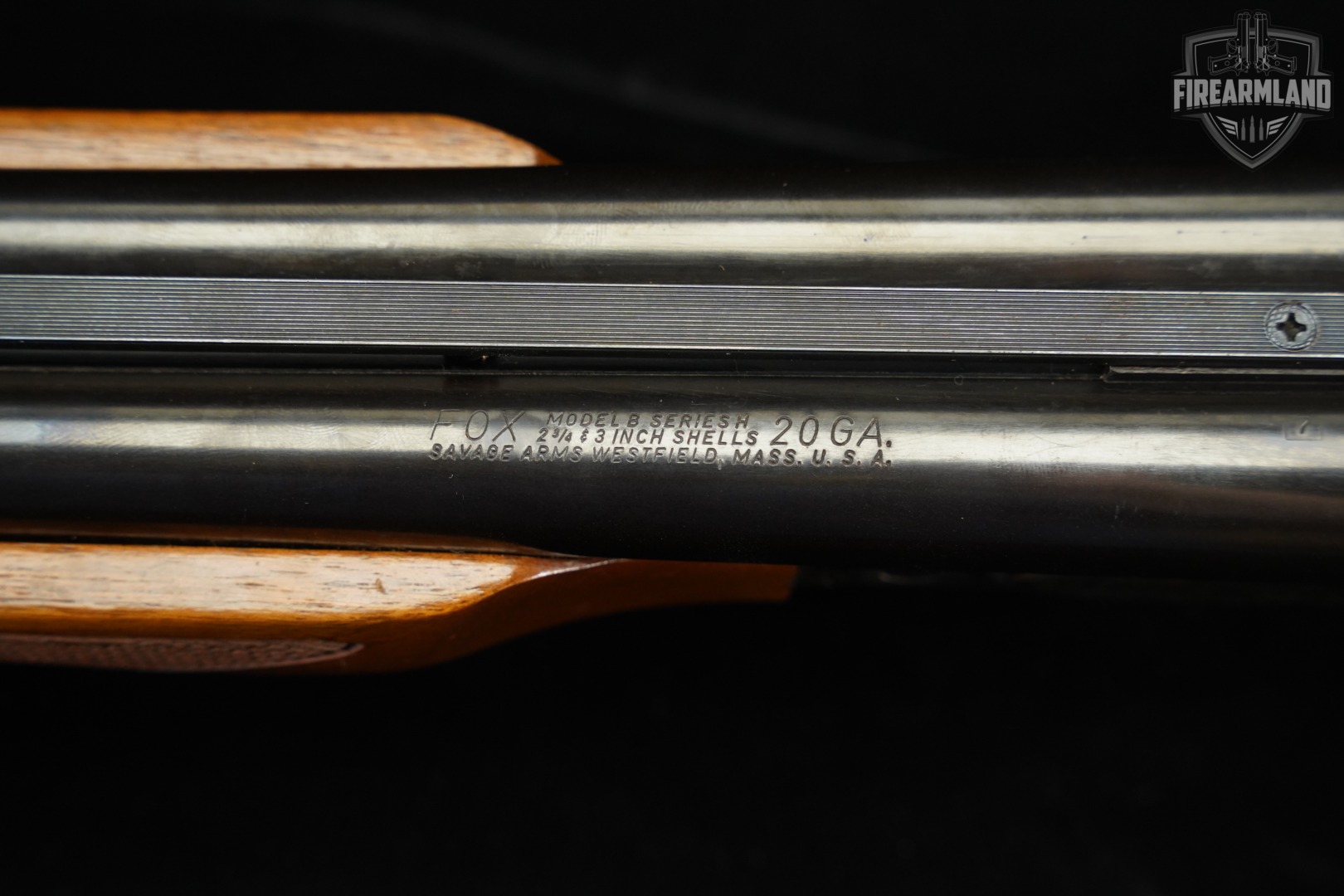 Savage Arms Fox Model B Series H 20-Gauge Color Case-Hardened & Walnut SxS-img-20