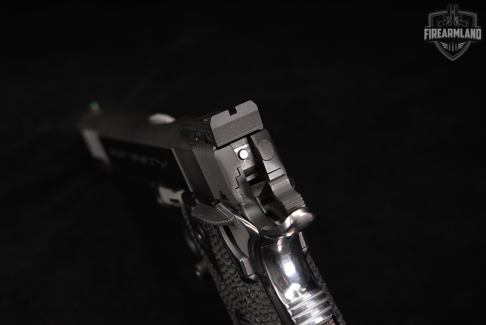 CUSTOM Strayer-Voigt SVI Infinity 2011 40 S&W 1911 BIANCHI +2 MAGS, MORE!-img-6
