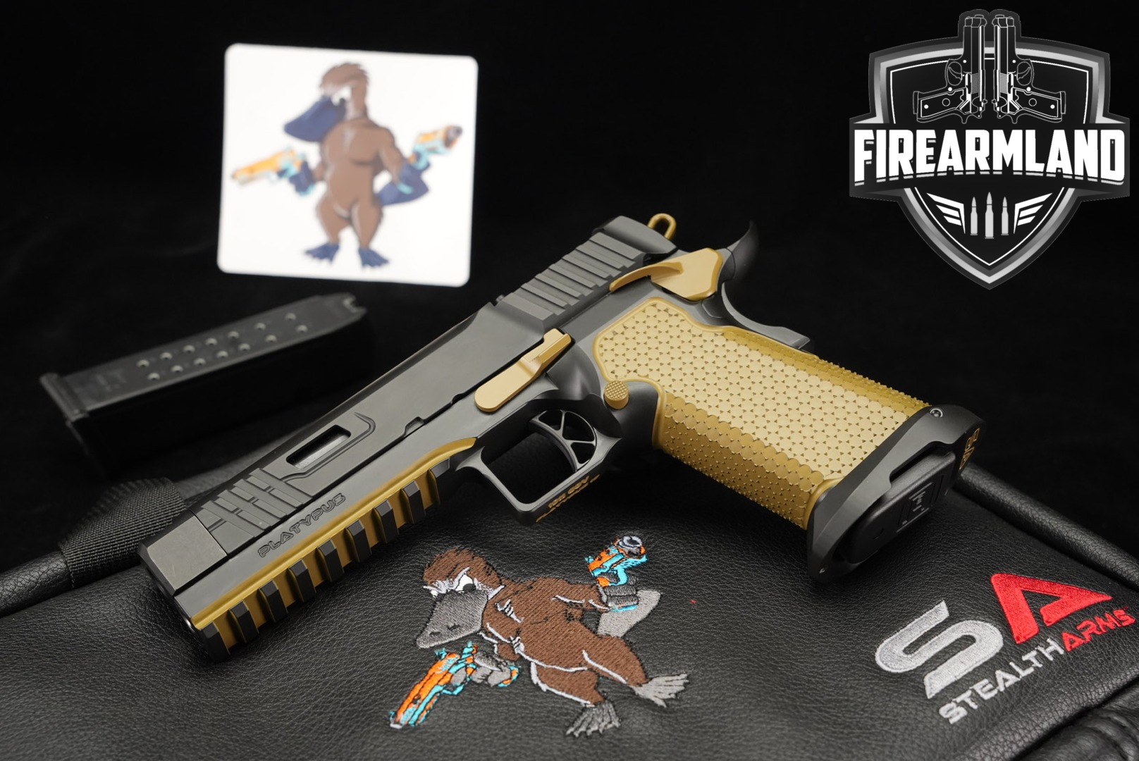 https://cash-for-arms-pictures.s3.amazonaws.com/reckZwLXTazVWl8KE/1.jpg