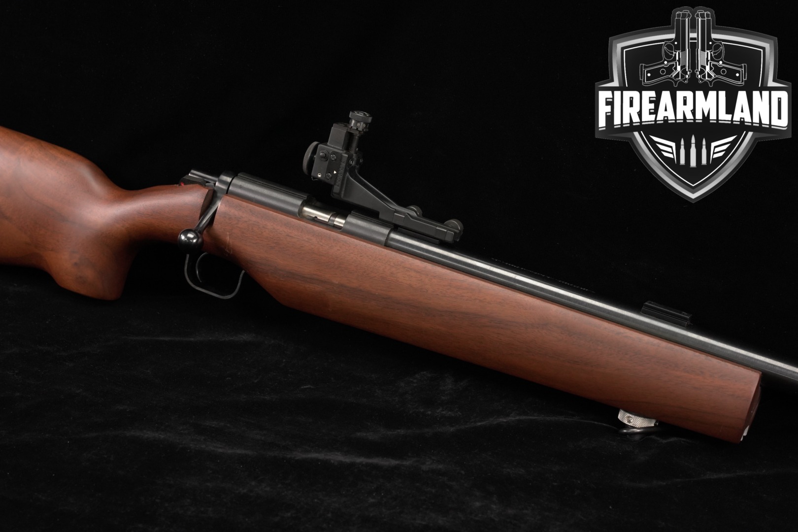 Kimber Of Oregon Model 82 Government 22LR 25" Blued & Walnut M82 82G-img-0