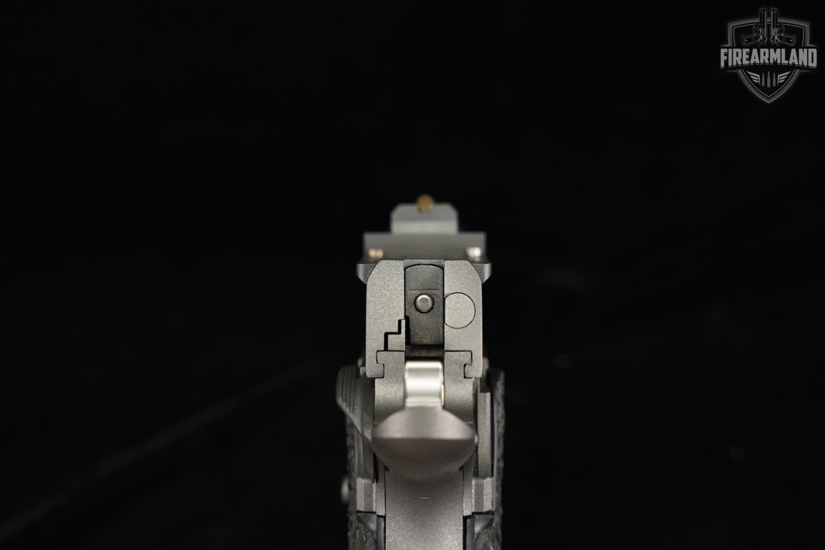 CK Arms 1911 9mm Optics-Ready 5" Grey 2011 +2 MAGS-img-8