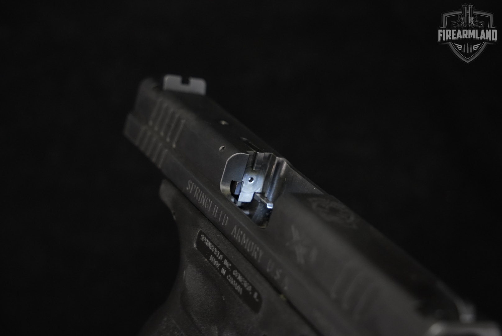 Springfield Armory XD-9 Service Model 9mm XD9 +4 MAGS, CASE-img-11