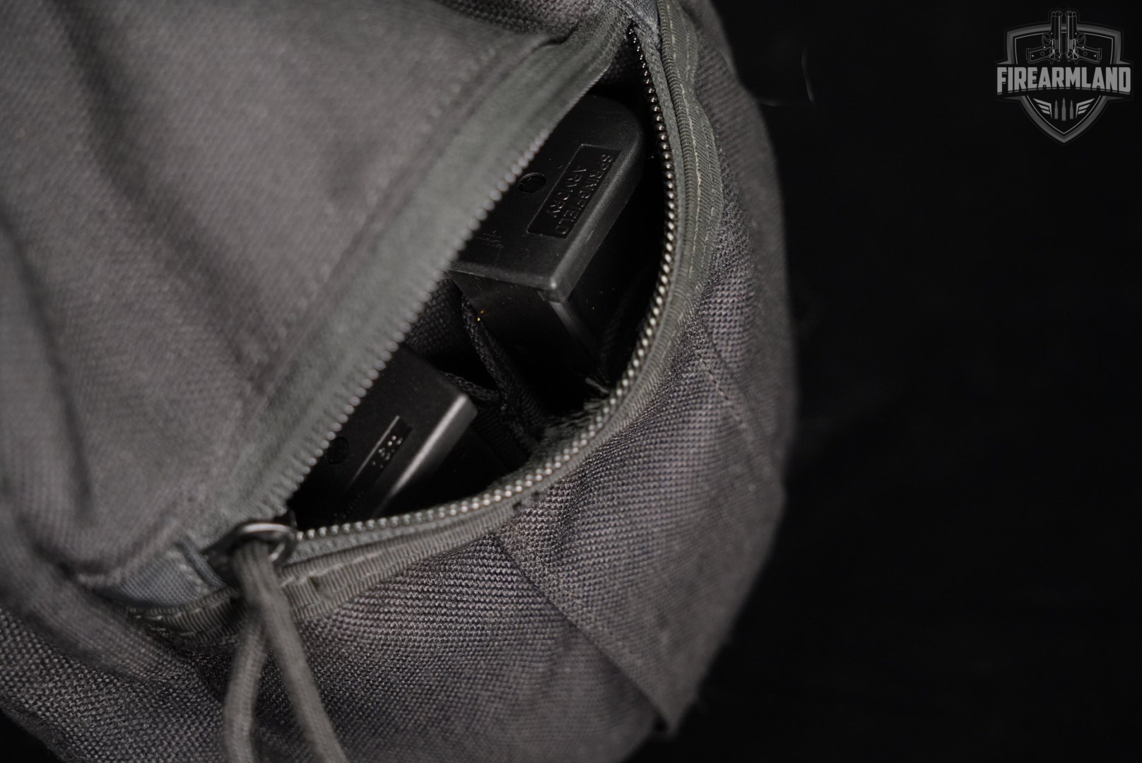 Springfield Armory XD-9 Service Model 9mm XD9 +4 MAGS, CASE-img-12