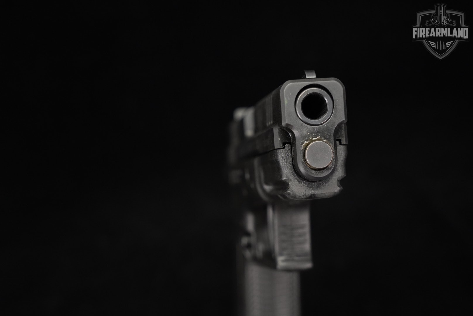 Springfield Armory XD-9 Service Model 9mm XD9 +4 MAGS, CASE-img-9