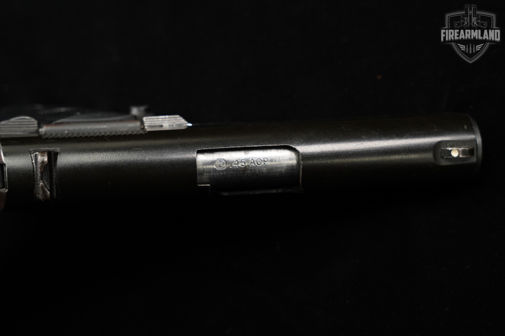Para Ordnance P12-45 45ACP 1911 3.5" Black & Gray 2011 P1245-img-14